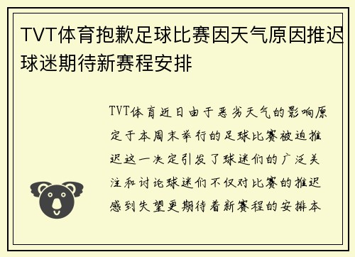TVT体育抱歉足球比赛因天气原因推迟球迷期待新赛程安排