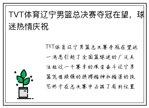 TVT体育辽宁男篮总决赛夺冠在望，球迷热情庆祝